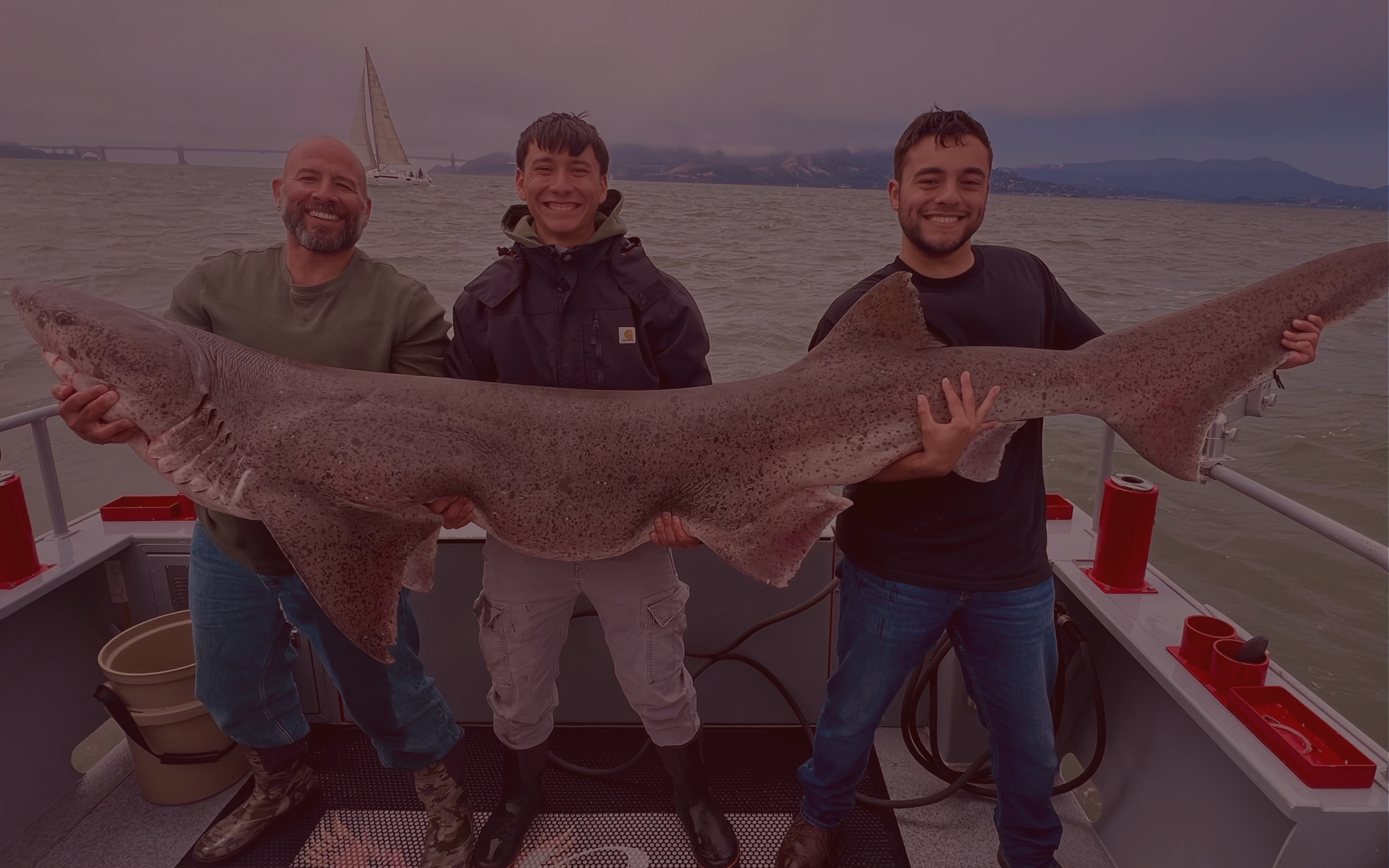Welcome to  Golden State Sportfishing